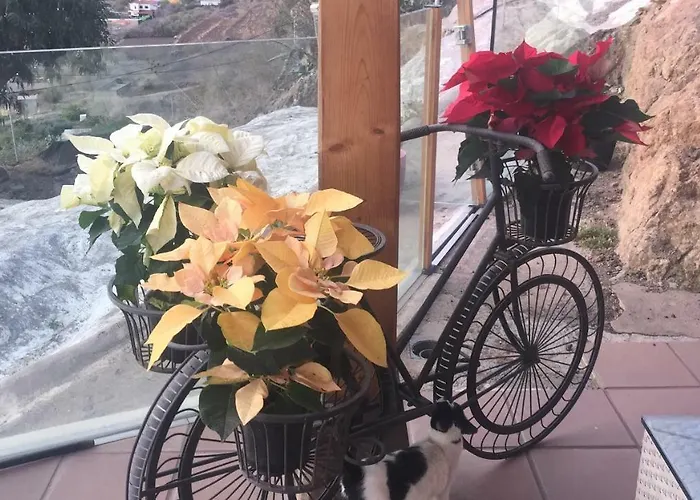 Hemi בית נופש ואלסקיו