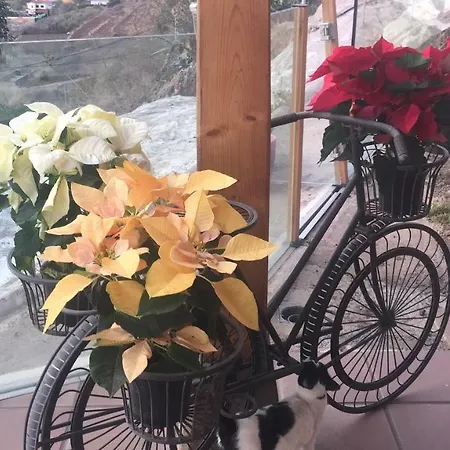 Hemi Hébergement de vacances Valsequillo de Gran Canaria